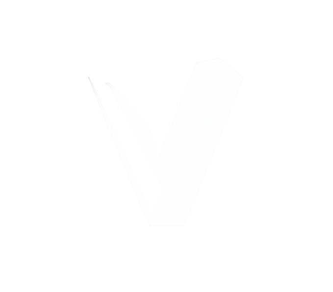 VIRSION logo